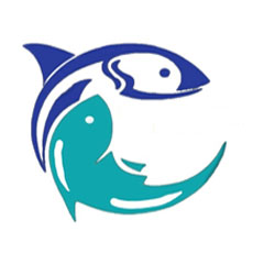Image by Indonesia Seafood